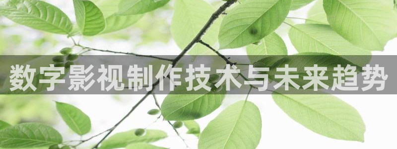 蜜桃成熟时视频.：数字影视制作技术与未来趋势