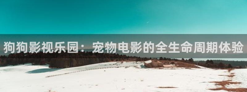 美丽的小蜜桃4电影：狗狗影视乐园：宠物电影的全生命周期体验