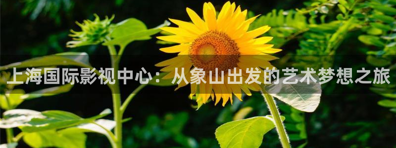 小蜜桃电视剧：上海国际影视中心：从象山出发的艺术梦想之旅