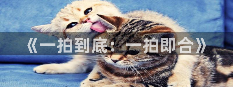 电影美丽的小蜜桃在线播放：《一拍到底：一拍即合》