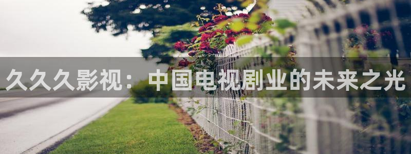 蜜桃系列电影：久久久影视：中国电视剧业的未来之光