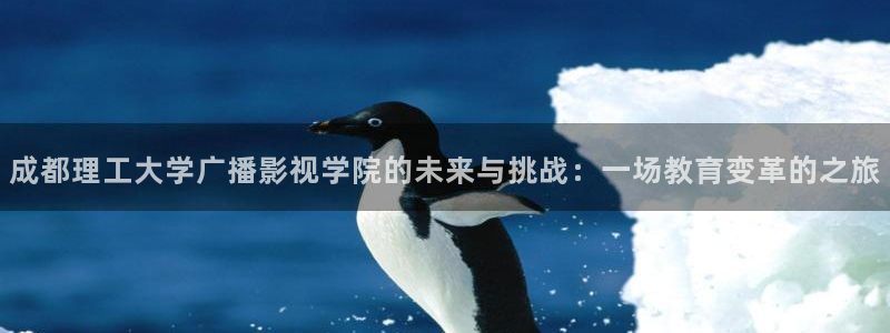 www.com蜜桃视频：成都理工大学广播影视学院的未来与挑战：一场教育变革的之旅